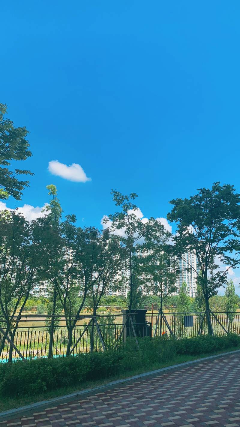 아이폰 폰꾸익들 위해 내가 찍은 배경 공유40 | 인스티즈