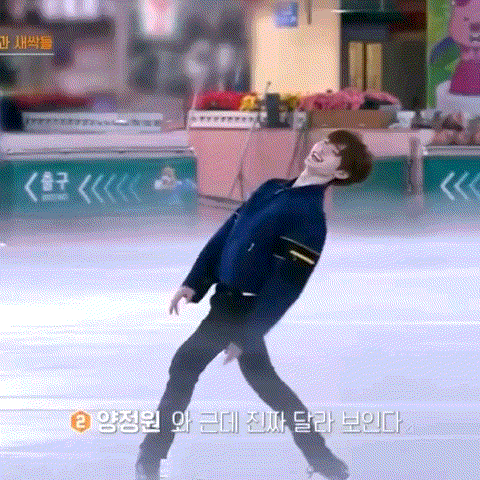 아니 이거 성훈이 피겨 보고 오~ 이랫다가 정원이 자막보고 개터짐 | 인스티즈