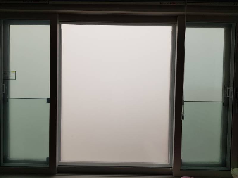 와..지금 안개 장난 아니야🙊 | 인스티즈