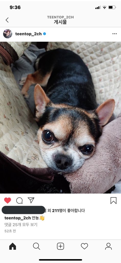 아침부터 이찬희가 날울린다ㅠㅠㅠㅠㅠㅠ | 인스티즈