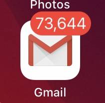 깰꼼이 익들이 보면 기겁할 짤 40 | 인스티즈