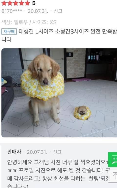 아ㅠㅠㅠ귀여워ㅠㅠㅠㅠ걍아지봐봐ㅠㅠㅠㅠㅠ | 인스티즈