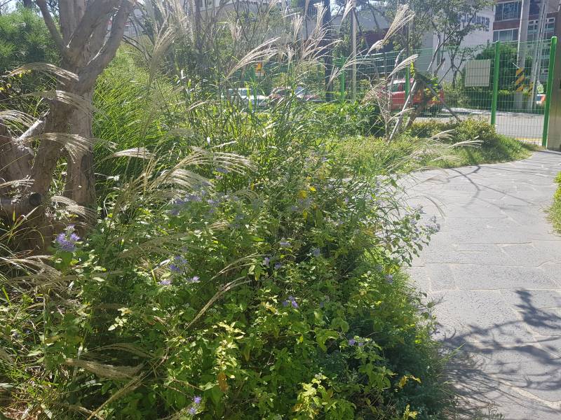 세상이 없어졌으면 좋겠다 생각하며 집 나섰는데 너무 쉽게 풀려버림 | 인스티즈