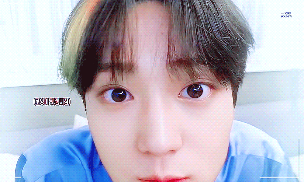 [잡담] 아긔고양이 | 인스티즈