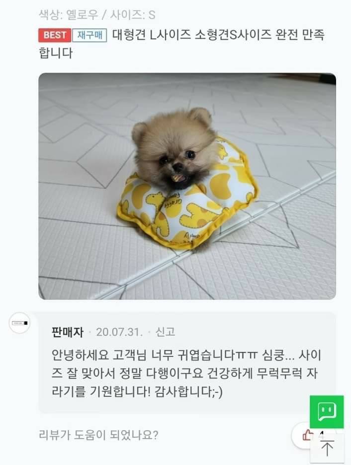 와 이거 진짜 미치도록 귀엽다... | 인스티즈