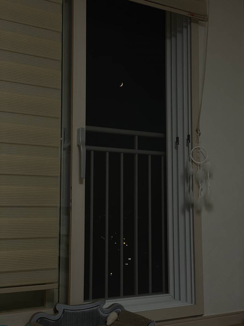 밥 먹다가 옆에 봤는데 달이 너무 예쁜겨 | 인스티즈