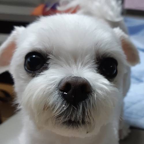 콧물도 귀여워 💧 | 인스티즈