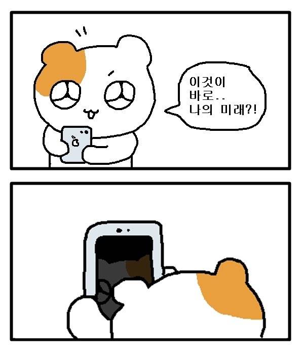 싸강 미루다가 출석기간 끝나가서 허버허버 듣는 즁... | 인스티즈