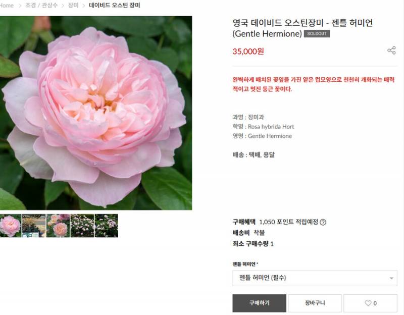 헤르미온느 원래 이름 허마이오니도 아니래 | 인스티즈