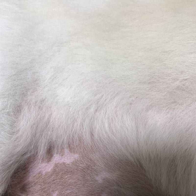 우래기 군고구마같아 | 인스티즈