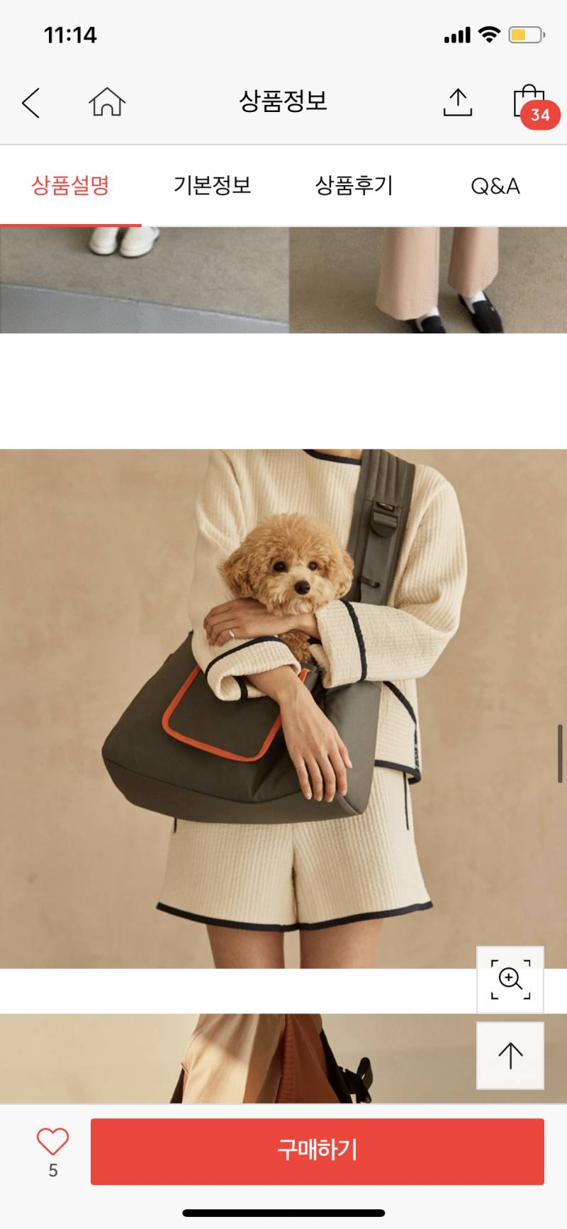 백만년 고민중인 가방색 골라죠ㅠㅠ | 인스티즈