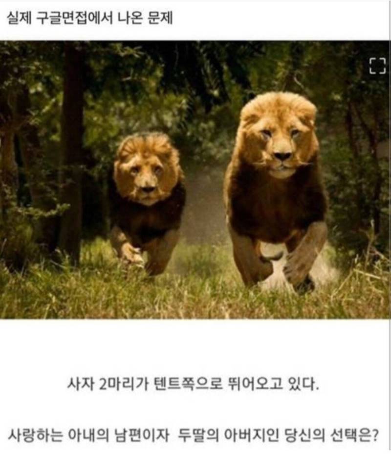 구글 면접에 나온거라는데 의견 제시해주고 가면 나의 궁금증은 해결된다 | 인스티즈