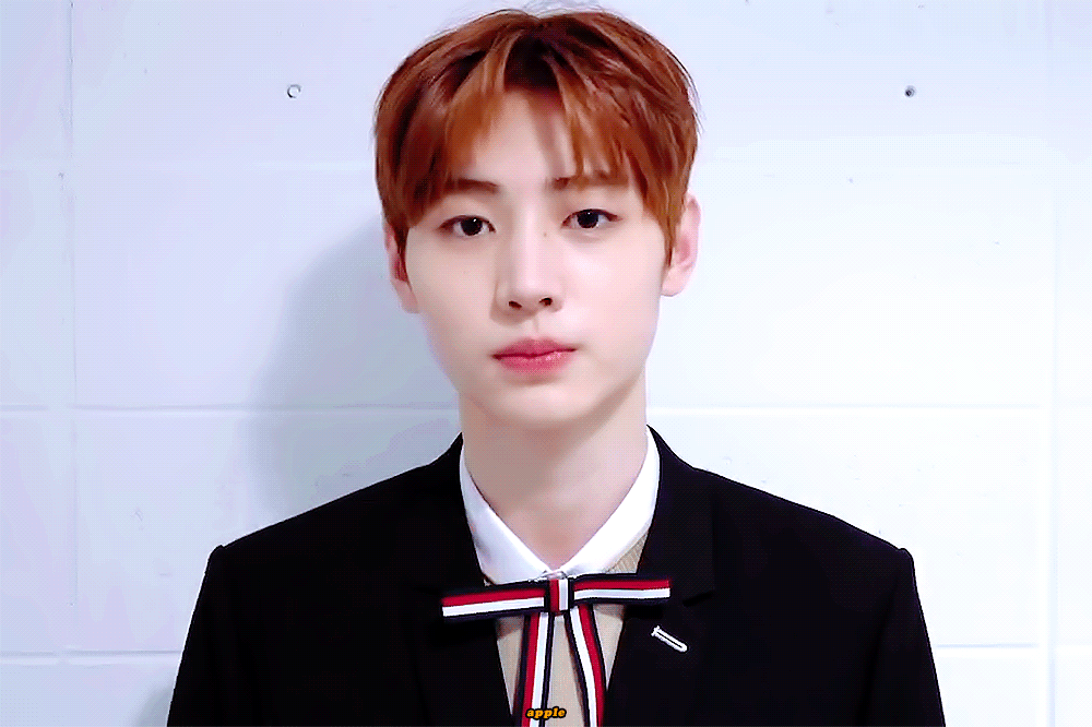 타팬들아 얘 동물 뭐 같아? | 인스티즈