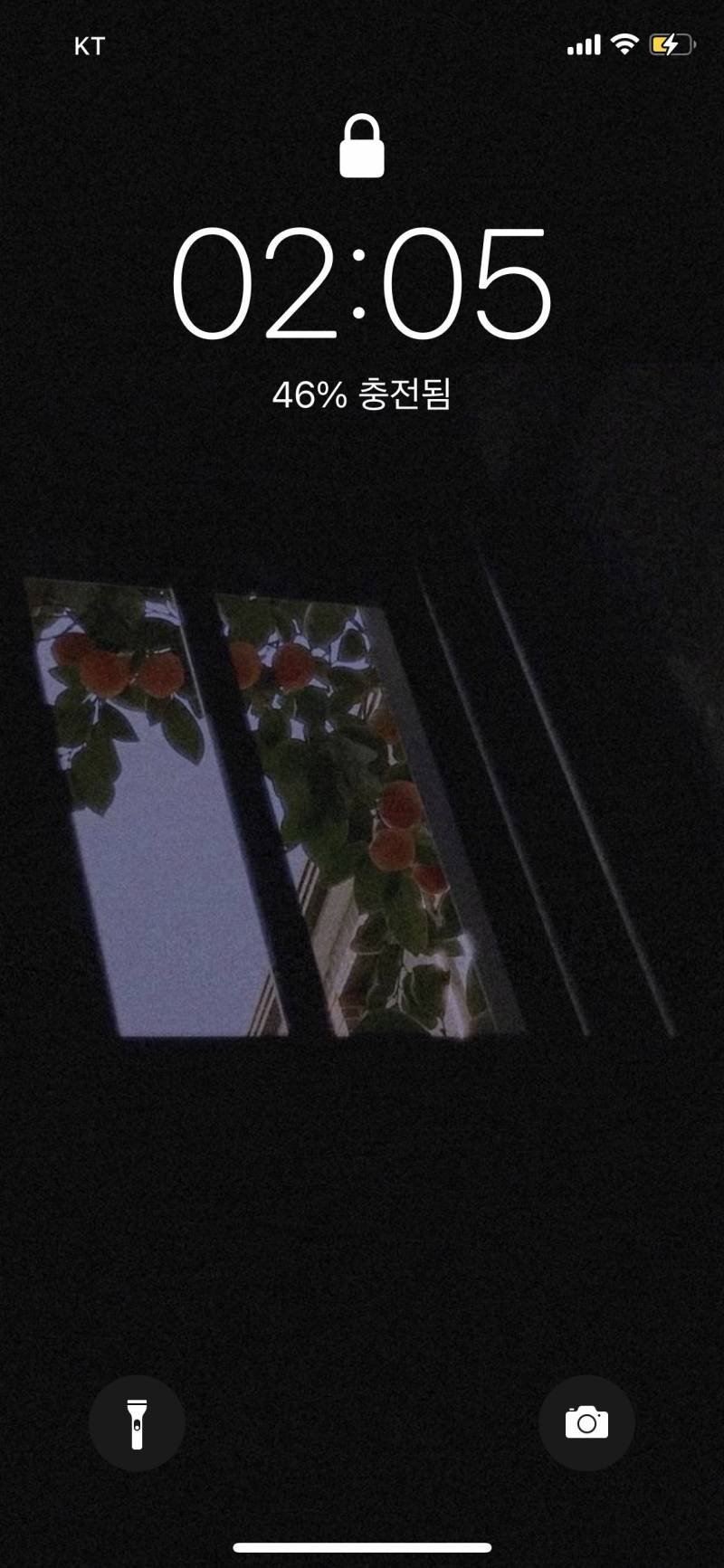 🎀내가 좋아하는 아이폰 잠금화면 모음🎀 (사진 가져갓!) | 인스티즈