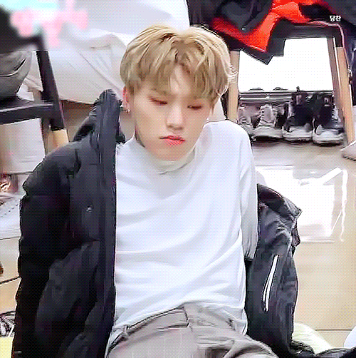 최애 들튀 | 인스티즈