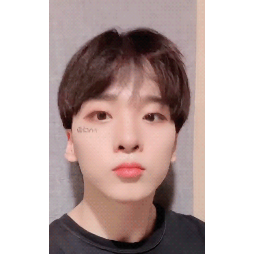 손성준 말랑볼콕 진심젬 | 인스티즈