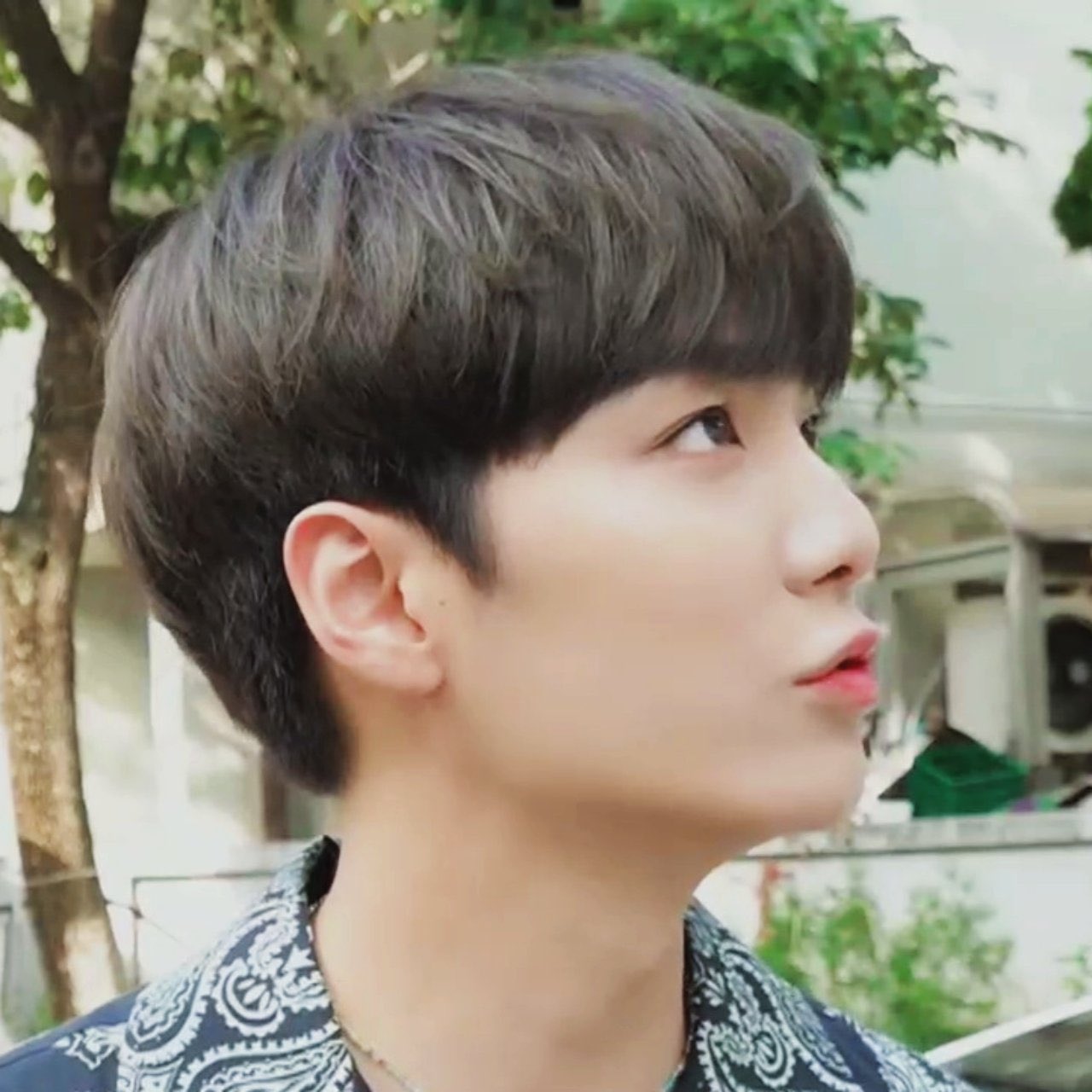 뉴종현 코가 너무 죠아 | 인스티즈