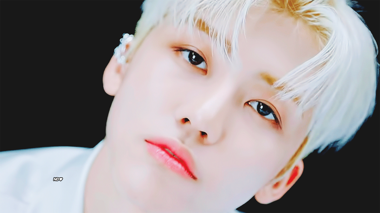 🦊 : 본인이 잘생긴걸 아십니까? 🐰 : 의도하지는 않았지만.. | 인스티즈