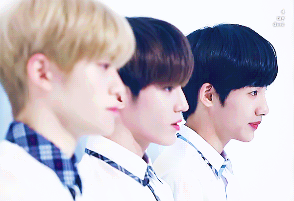 정재현 이태용 동스청 | 인스티즈