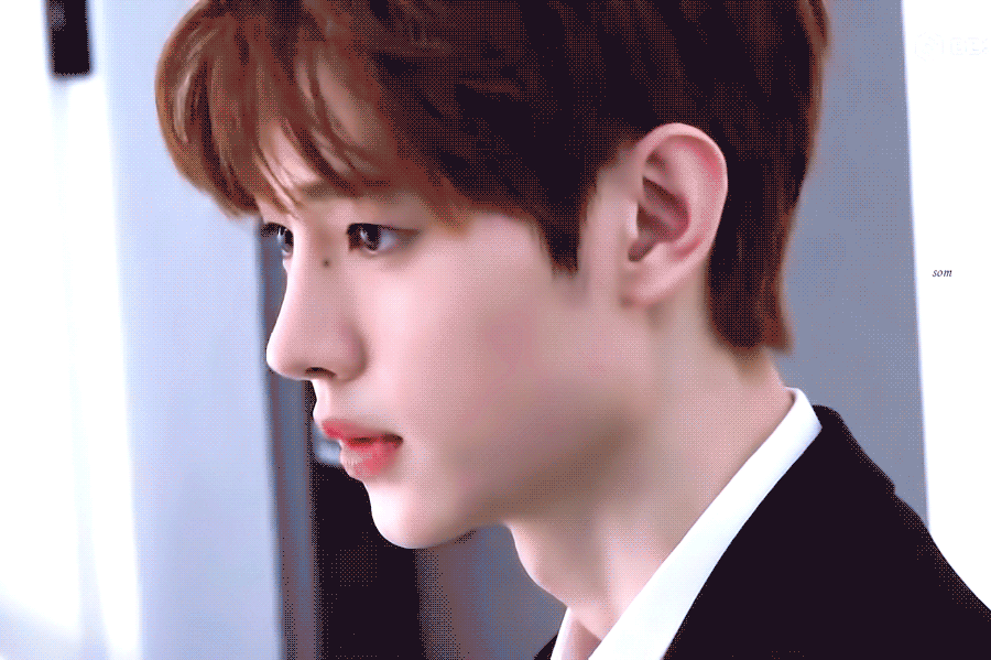 엔하이픈 박성훈 왜이래??ㅋㅋㅋㅋㅋㅋㅋㅋㅋㅋㅋㅋㅋㅋㅋㅋㅋㅋ우리애가 고장났어요ㅠㅠ | 인스티즈