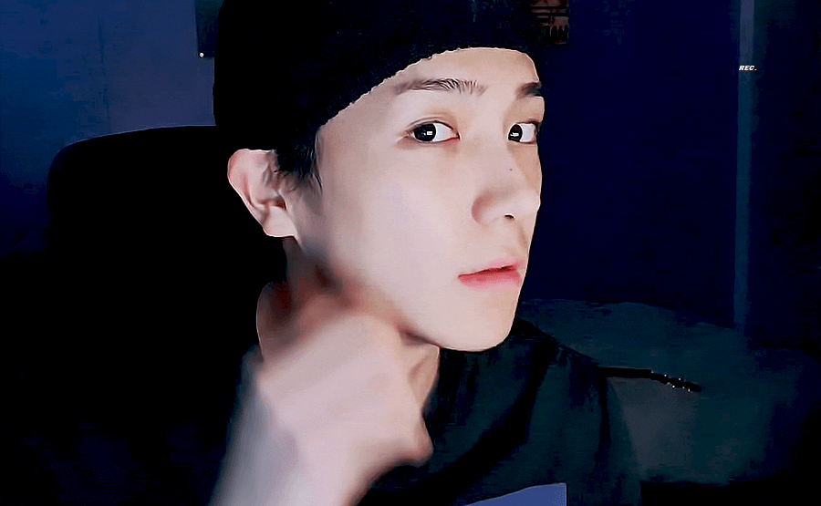 셉틴 정한 위너 김진우 엔시티 성찬 좋아하면 소나무니? | 인스티즈