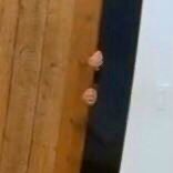 박가상귀=박지민은 가만히 있는데 상황이 박지민을 귀엽게 만든다 | 인스티즈