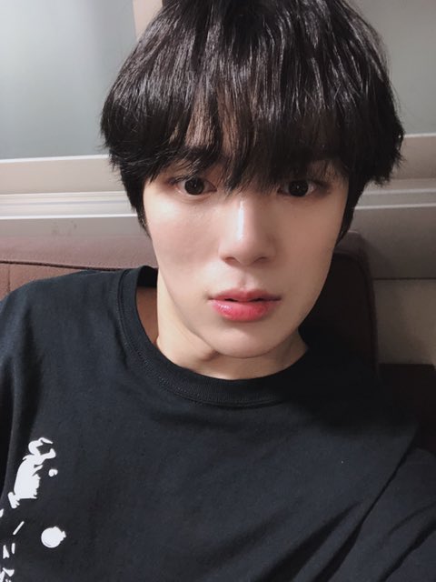 나 약간 댕댕이상 좋아하나 봐 | 인스티즈