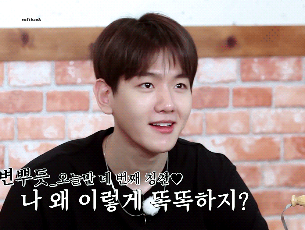 진짜 강아지다.. 코끝이 반짝거리냐왜 | 인스티즈