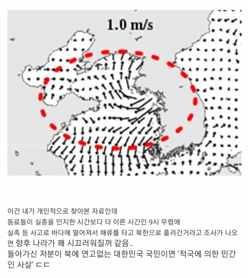 만약 그 공무원분 월북이 아니라 해류에 휩쓸려서 북한으로 가게된거면 어떻게 되는거야?? | 인스티즈