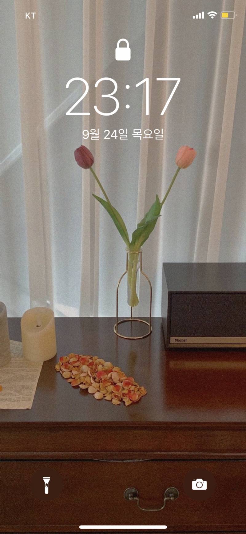 🌳🌞내가 좋아하는 아이폰 잠금화면 모음🍒🥑 3탄 | 인스티즈