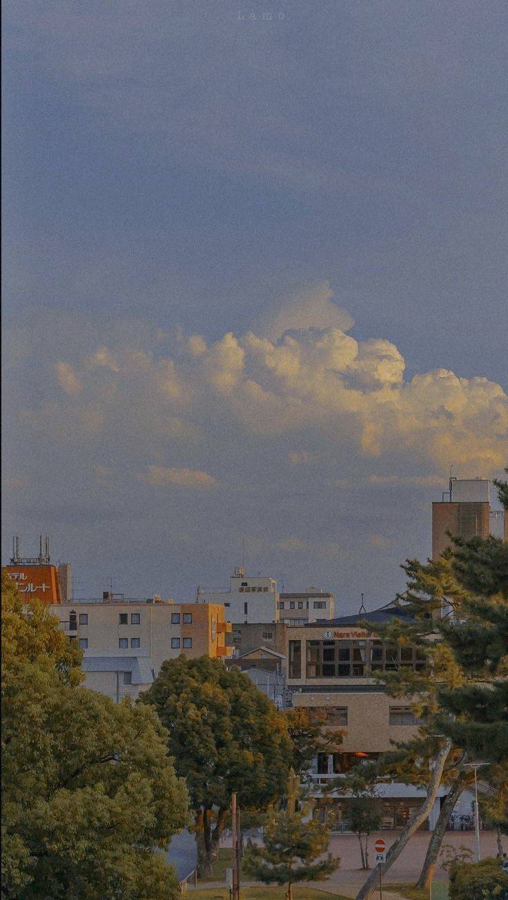 🌳🌞내가 좋아하는 아이폰 잠금화면 모음🍒🥑 3탄 | 인스티즈