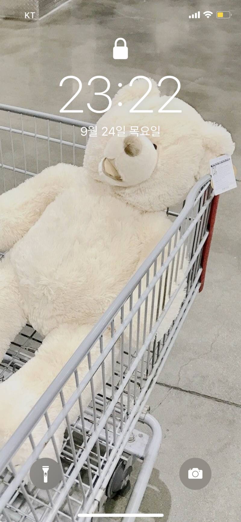 🌳🌞내가 좋아하는 아이폰 잠금화면 모음🍒🥑 3탄 | 인스티즈