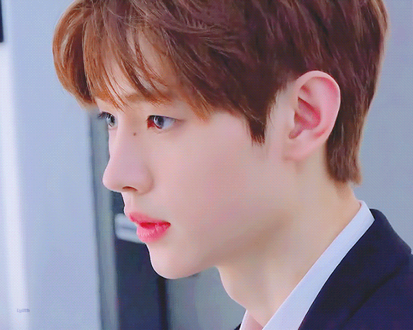 타팬들아 얘 동물 뭐 같아? | 인스티즈