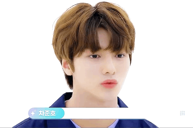 내 취향에 어떤 공통점이 있는가? | 인스티즈