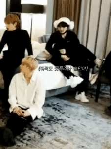 ㄱ 나 이사진 때문에 알페스 시작하려고.. | 인스티즈