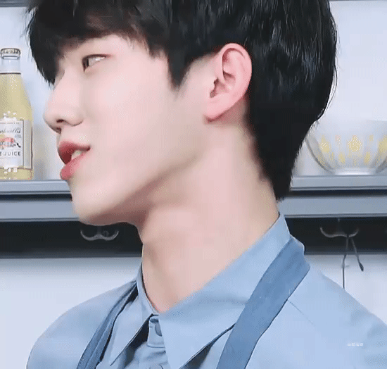 소나무인지는 모르겠고 나의 사랑 강아지둘 | 인스티즈