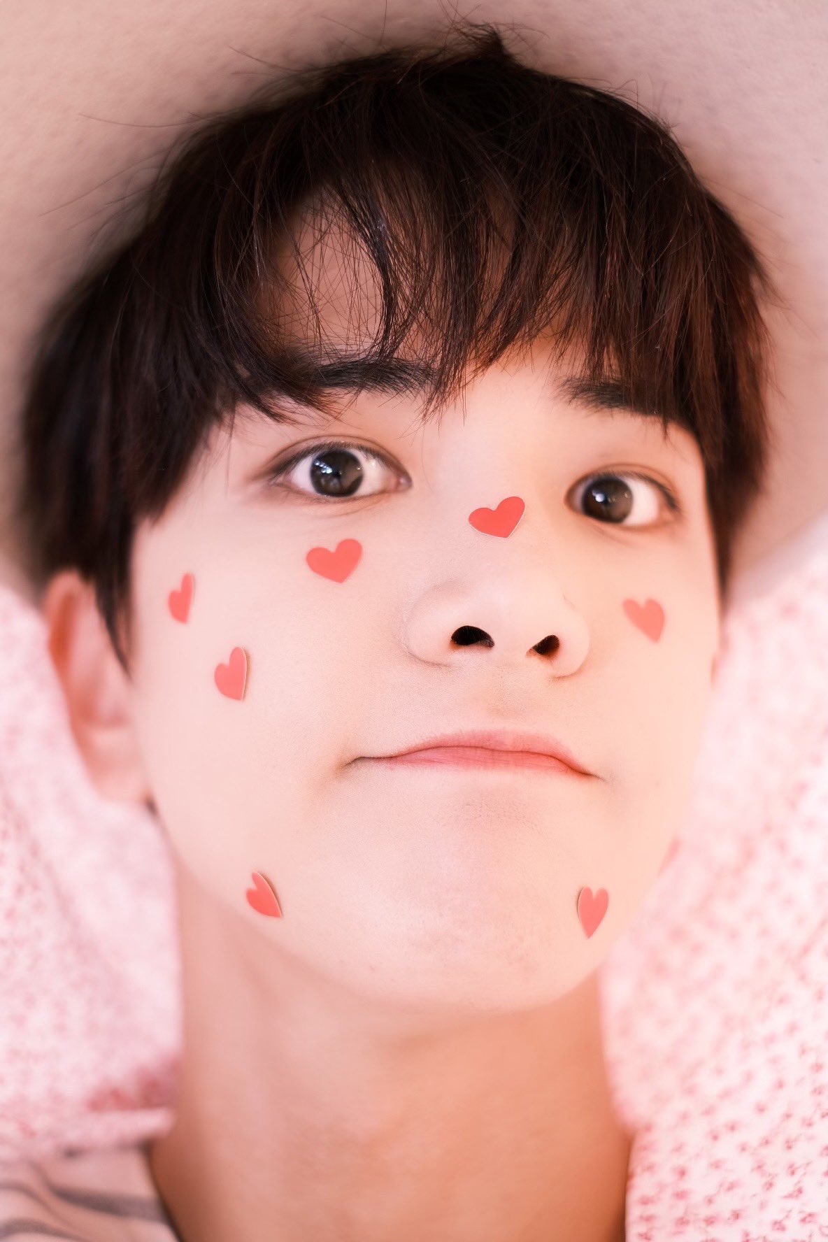 팬이 생일선물로 준 카메라로 찍은 멤버들.. 진심 당장 사진전 열어도 될 듯 | 인스티즈