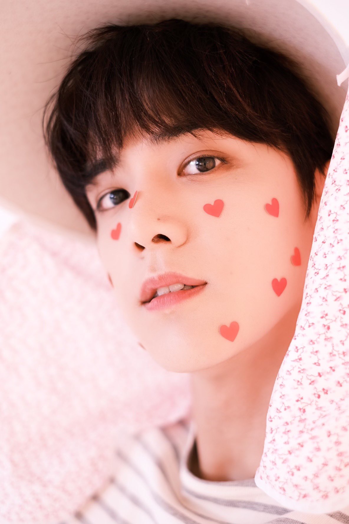 팬이 생일선물로 준 카메라로 찍은 멤버들.. 진심 당장 사진전 열어도 될 듯 | 인스티즈