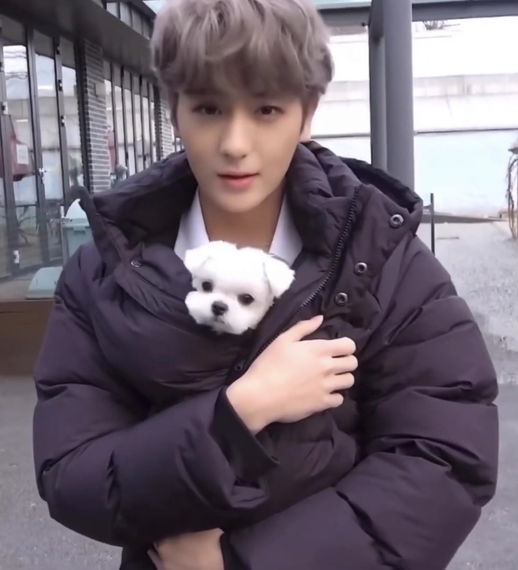 더보이즈 현재 이거 언제야?? | 인스티즈