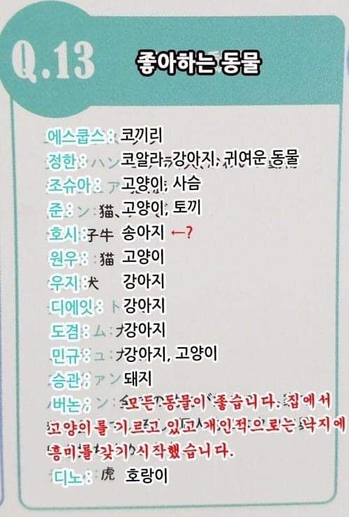 세븐틴이 좋아하는 동물들 | 인스티즈