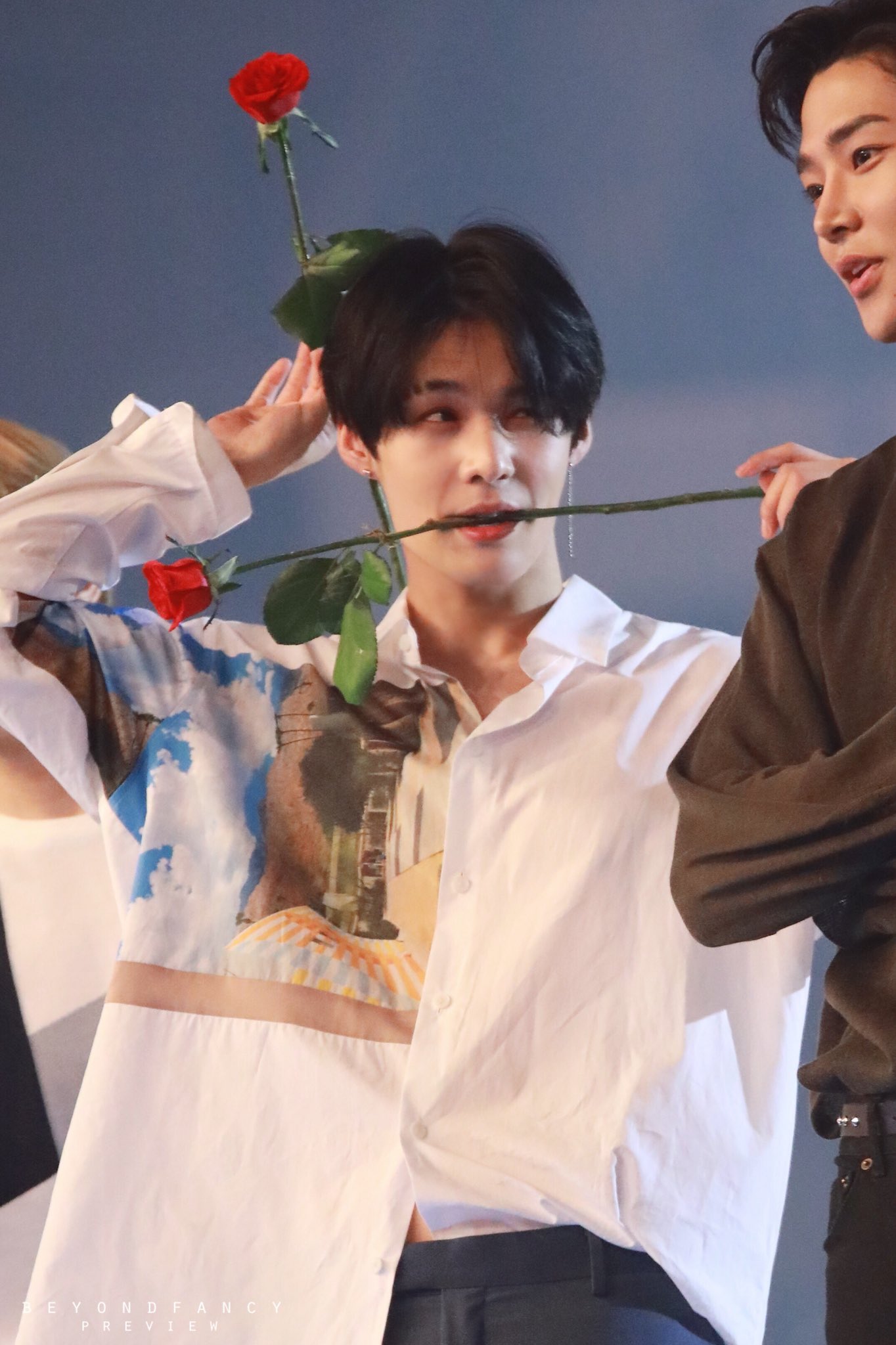 노래, 춤 잘하고 컨셉따라 이미지도 잘 바뀌는 우리 강아지 보고가주세요 | 인스티즈