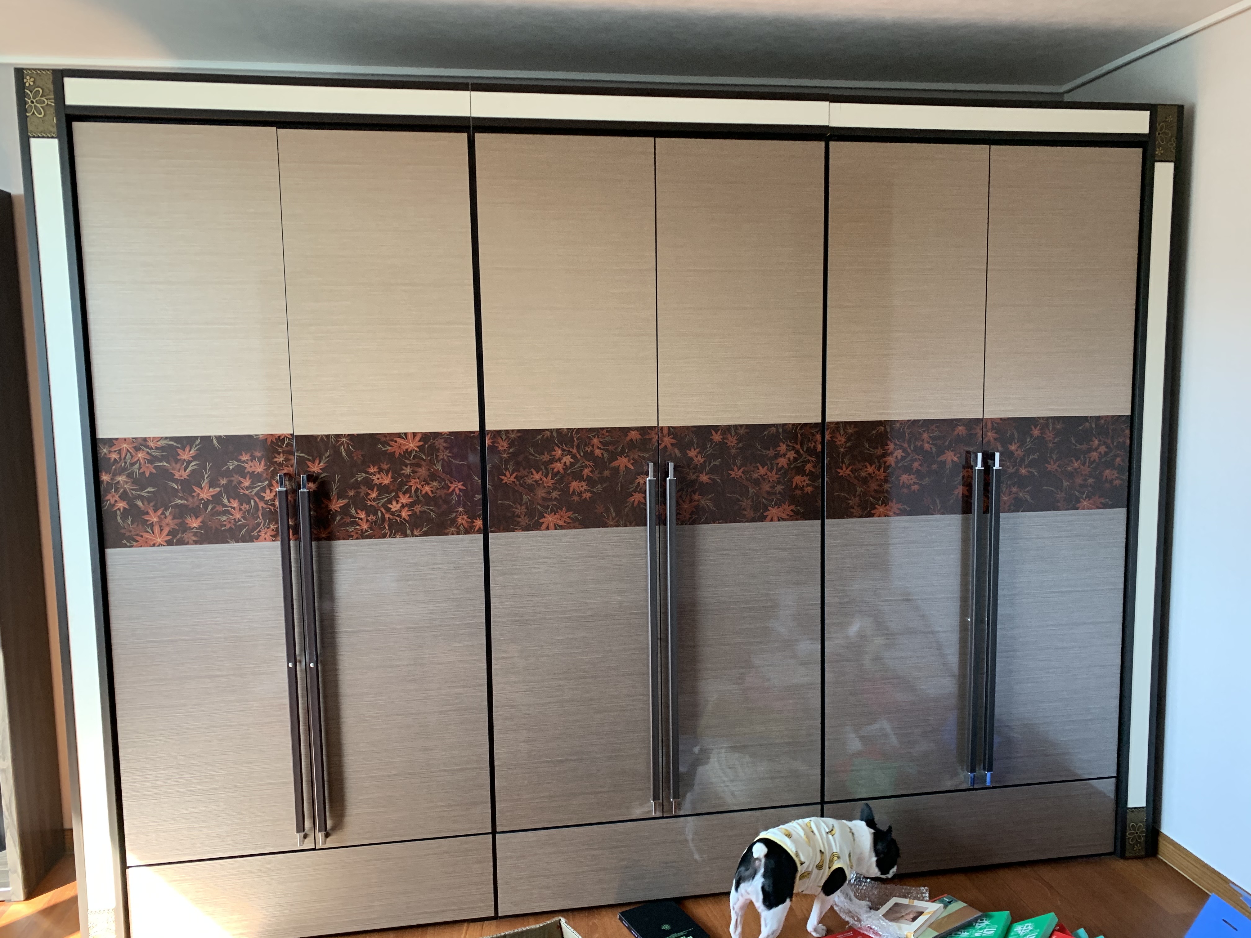 우리집 이사하는데 언니가 사진찍어줬는데 나 진짜 기절해요 개빡쳐 | 인스티즈