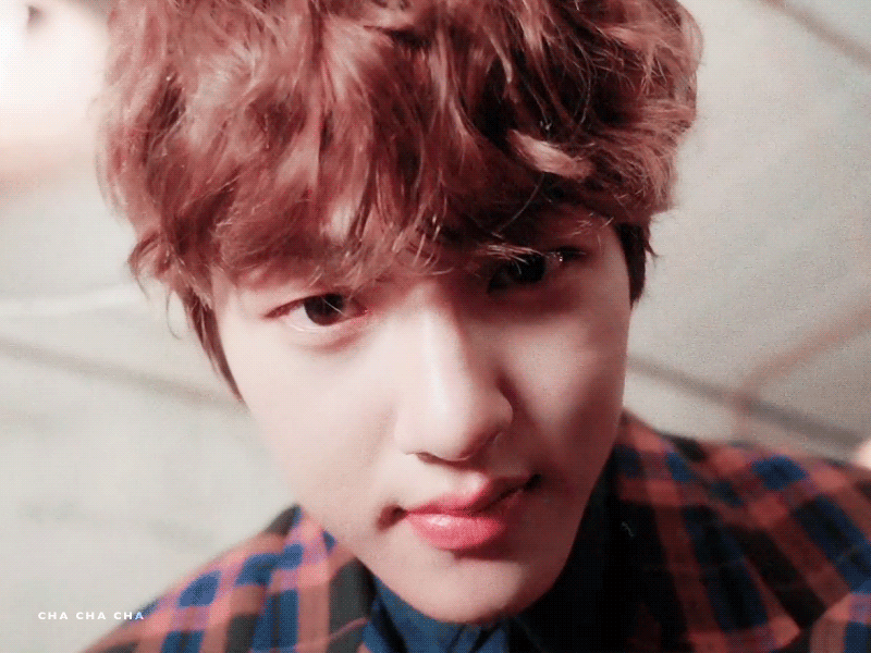 골차 봉지 봉구네 막내 봉재가 | 인스티즈