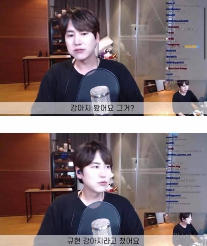 자기 닮은 강아지를 본 규현 반응.JPG | 인스티즈