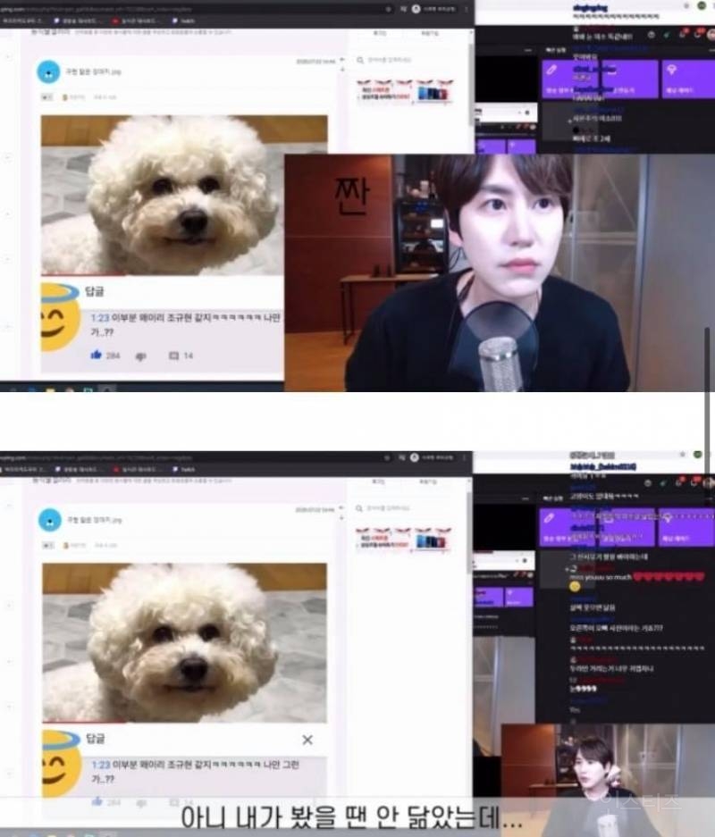 자기 닮은 강아지를 본 규현 반응.JPG | 인스티즈
