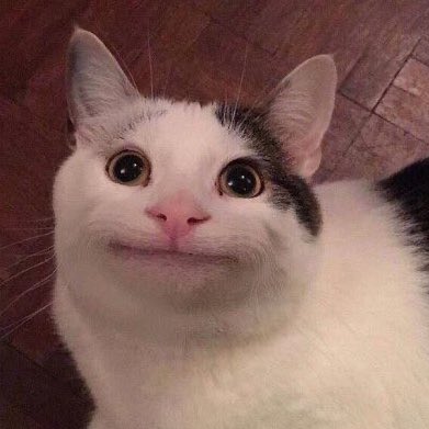 둘이 완전 똑같이 생겼다 | 인스티즈