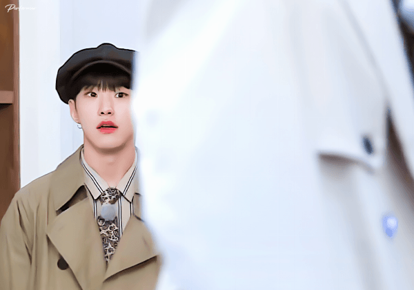 솔직히 이거 보고 누가 호랑이라고 생각함 | 인스티즈