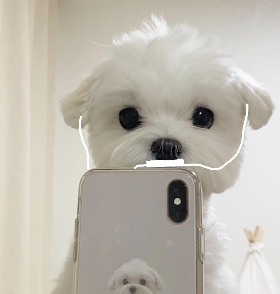 더보이즈 현재 팬들아.. 이중에 누가 현재인지 알려줄수있어?ㅠㅠ | 인스티즈