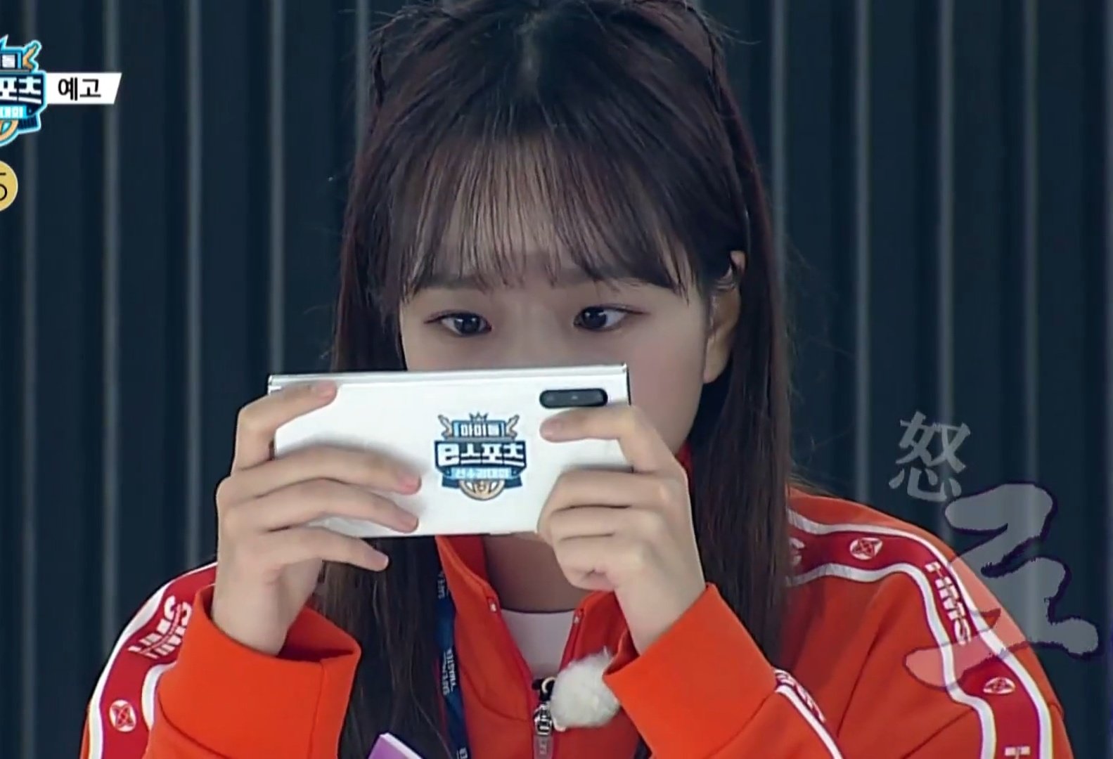 카트에 집중한 곰돌이강아지 | 인스티즈