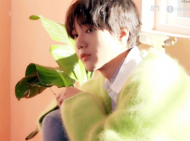 내새끼 보고싶다 | 인스티즈